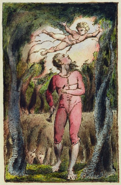 Plate 1 from 